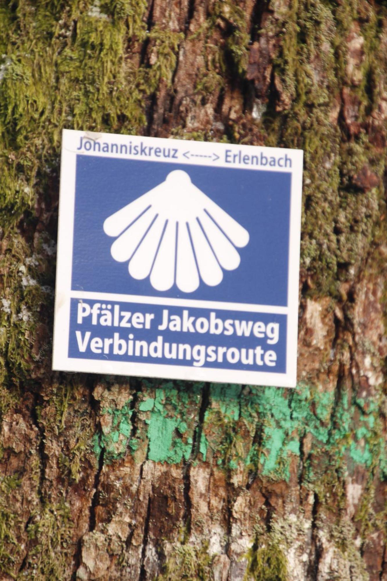 Ferienwohung Am Felsenwanderweg Im Pfaelzerwald Apartman Rodalben Kültér fotó