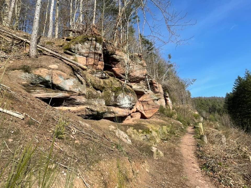 Ferienwohung Am Felsenwanderweg Im Pfaelzerwald Apartman Rodalben Kültér fotó
