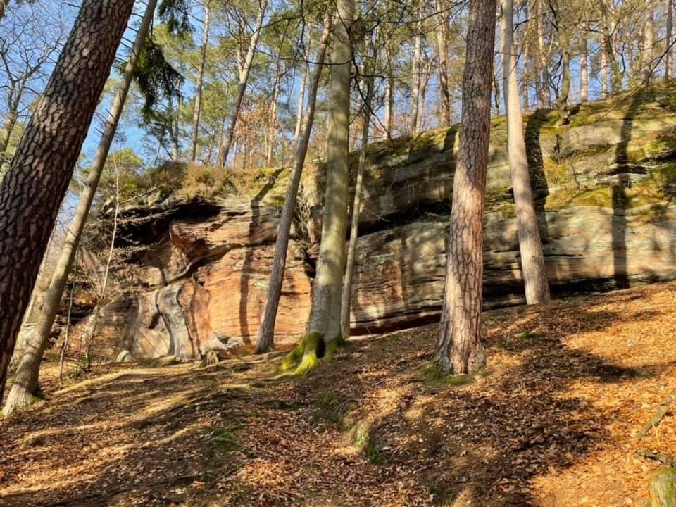 Ferienwohung Am Felsenwanderweg Im Pfaelzerwald Apartman Rodalben Kültér fotó