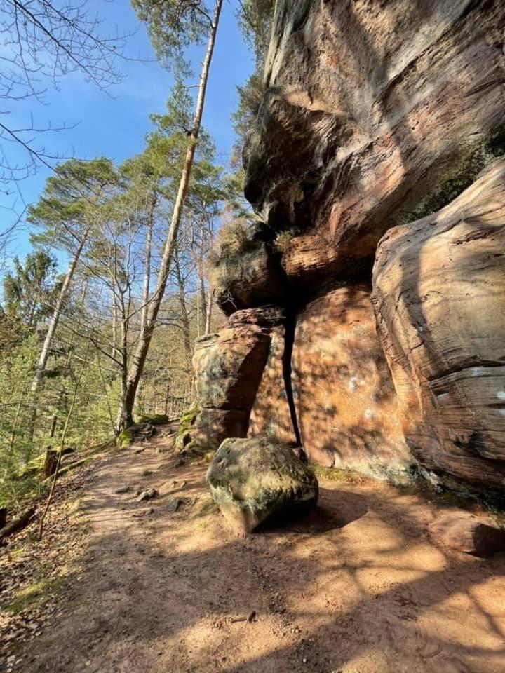 Ferienwohung Am Felsenwanderweg Im Pfaelzerwald Apartman Rodalben Kültér fotó